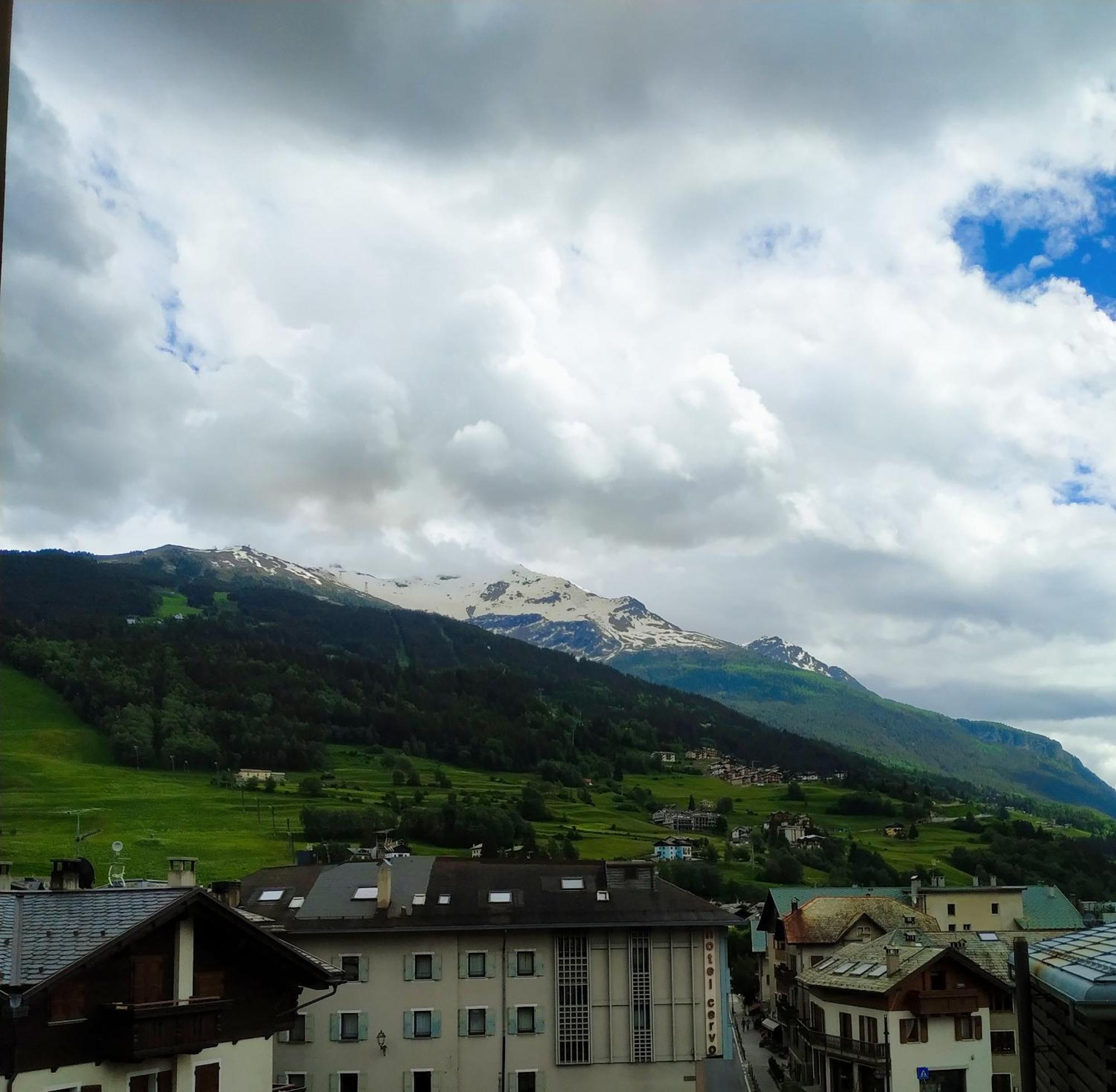 Standard Single Room Mountain View
